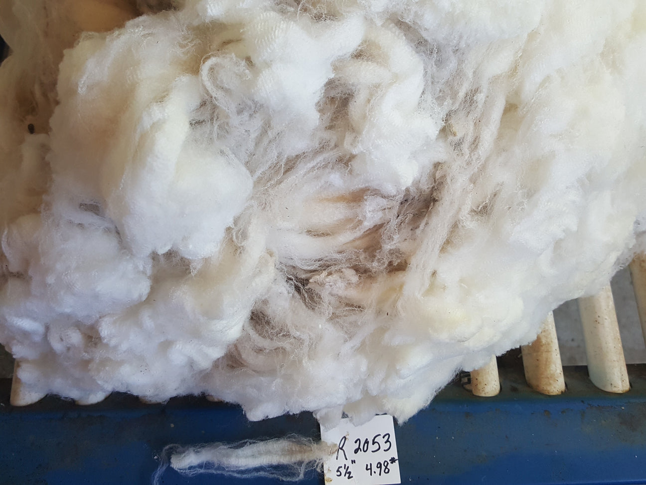 Cormo Fleeces Croftland Farm LLC